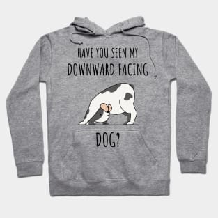 HAVE YOU SEEN MY DOWNWARD FACING DOG? Hoodie